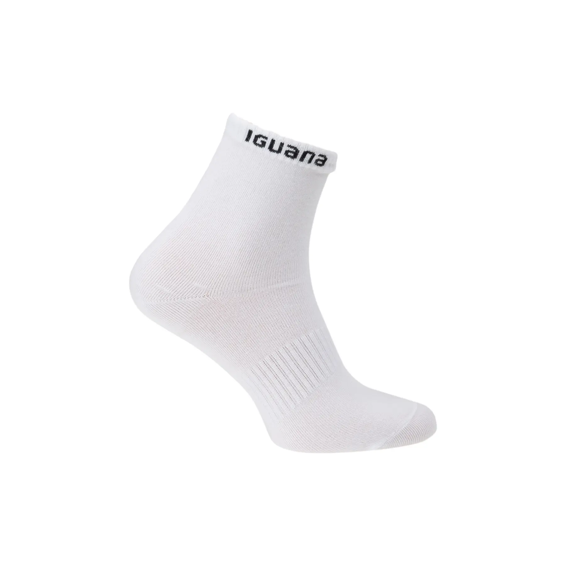Socken Iguana Igino (x3)