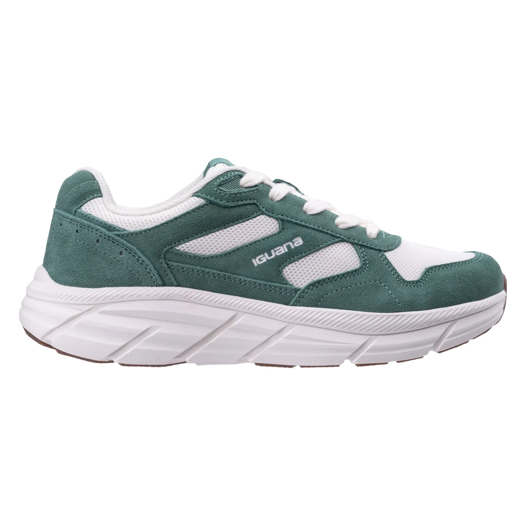 Trainers Iguana Cumulus