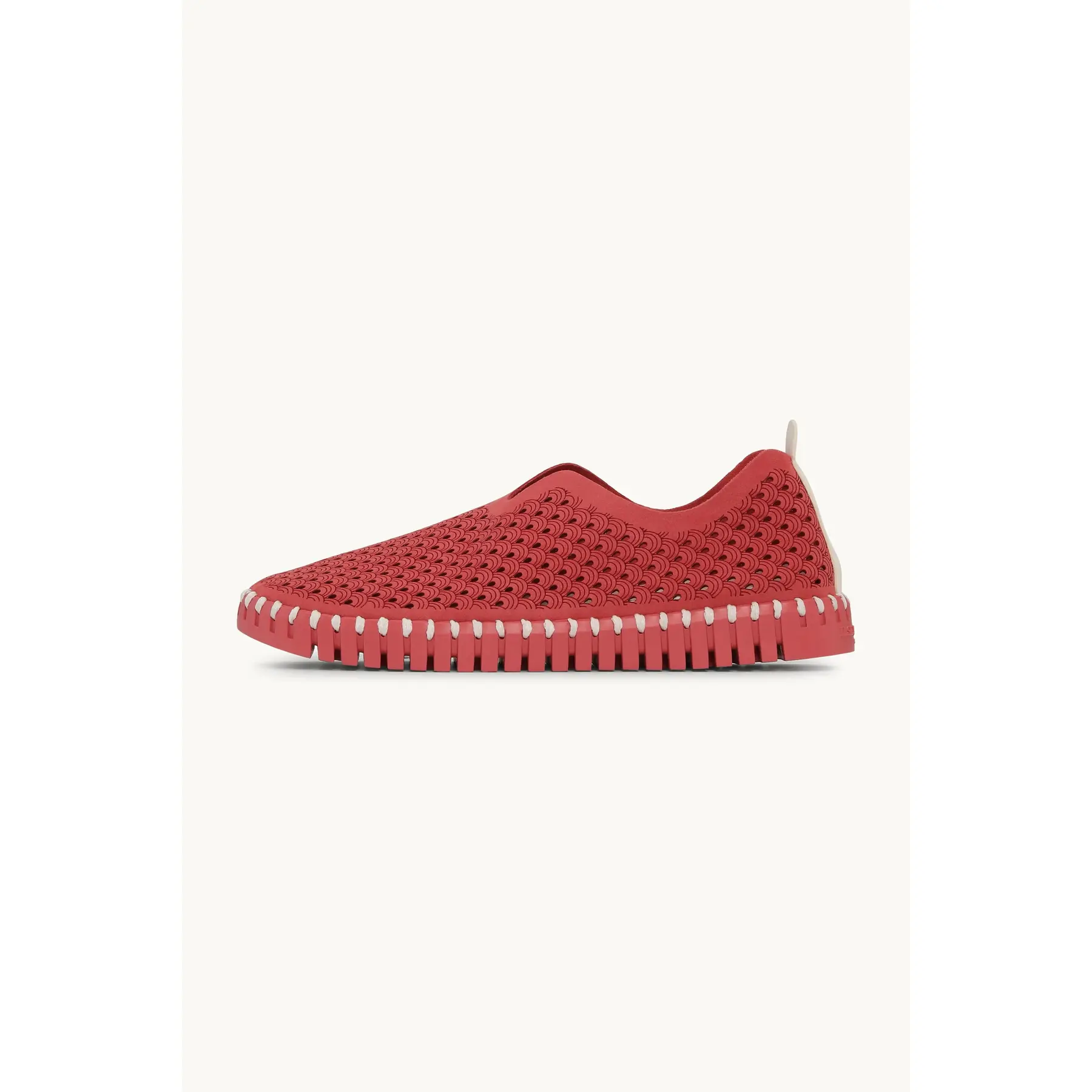 Espadrillas emblematiche donna  Tulip
