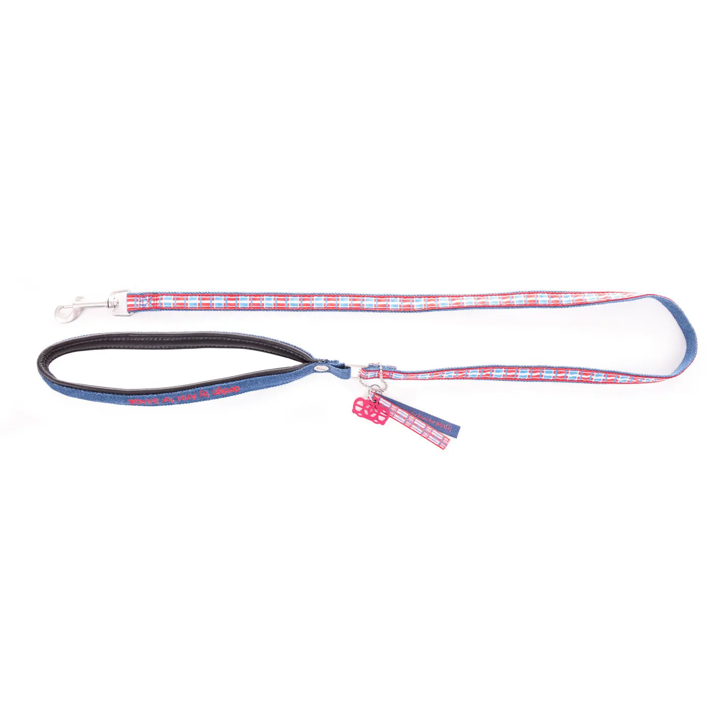 Laisse pour chien nylon Image Dog Save