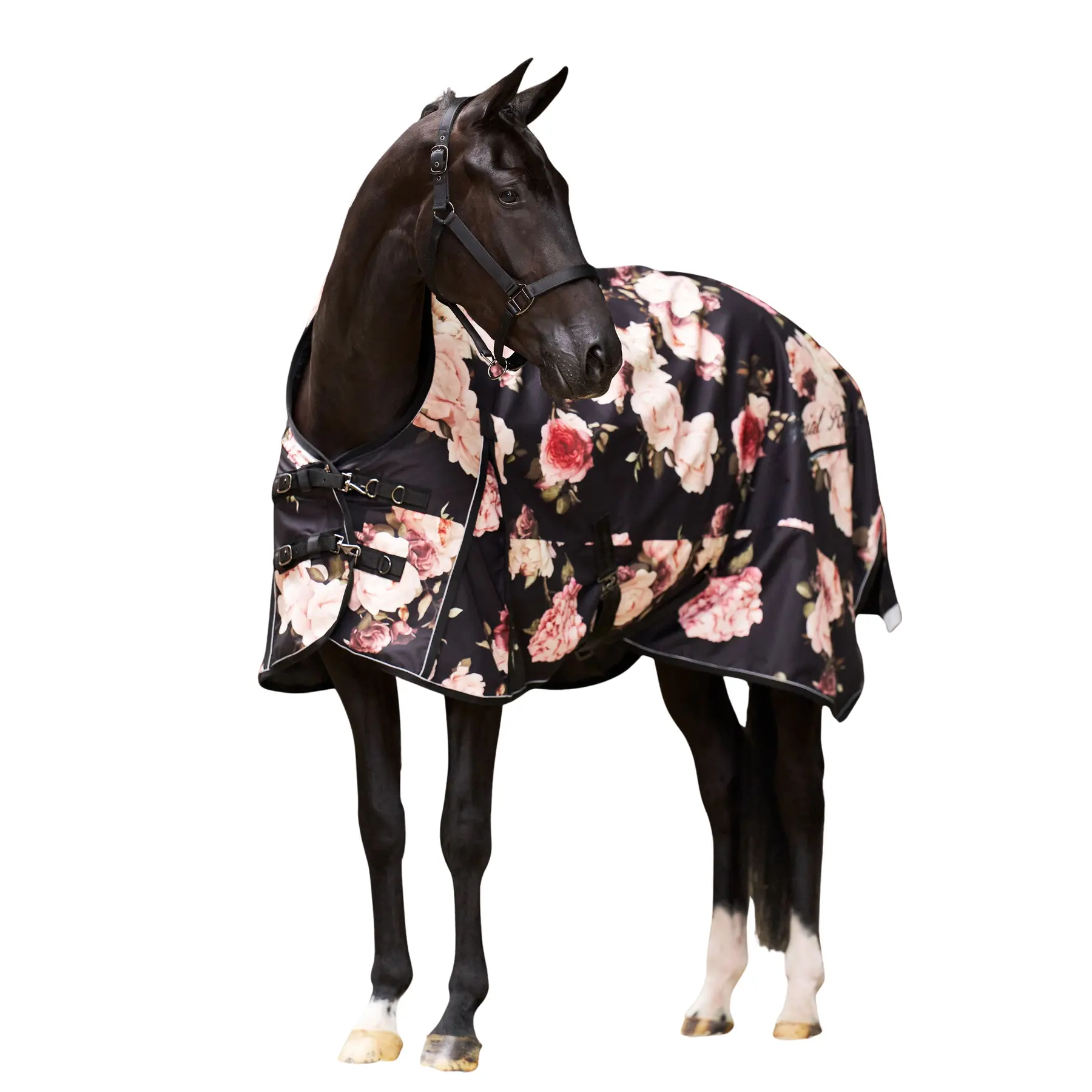 Comparer les prix de Couverture d'extérieur pour cheval Imperial Riding Super-dry AOP 100g