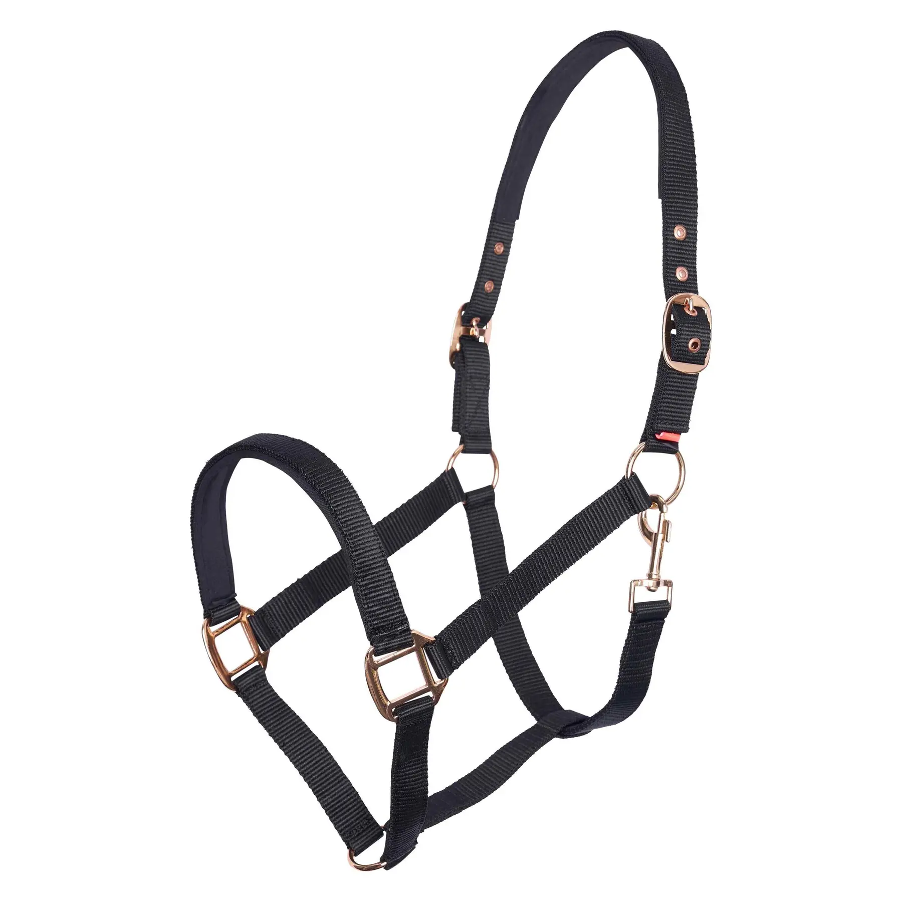 Imperial Riding Noir Halter For Horse Classic Sport