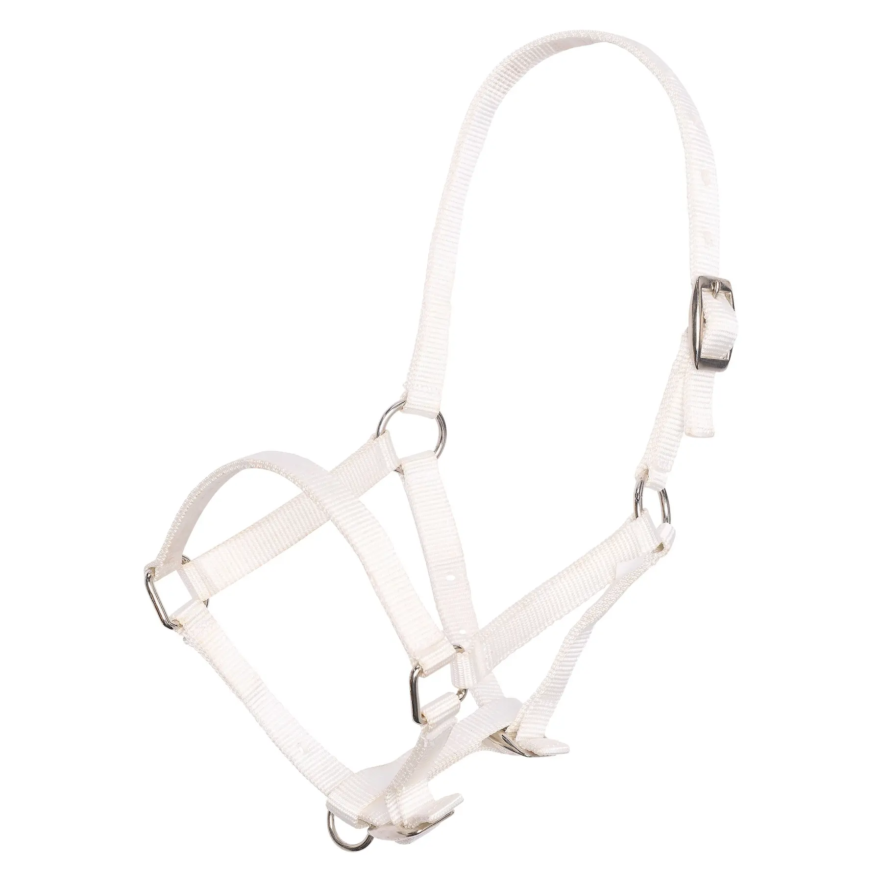 Imperial Halster nylon veulen met gespen