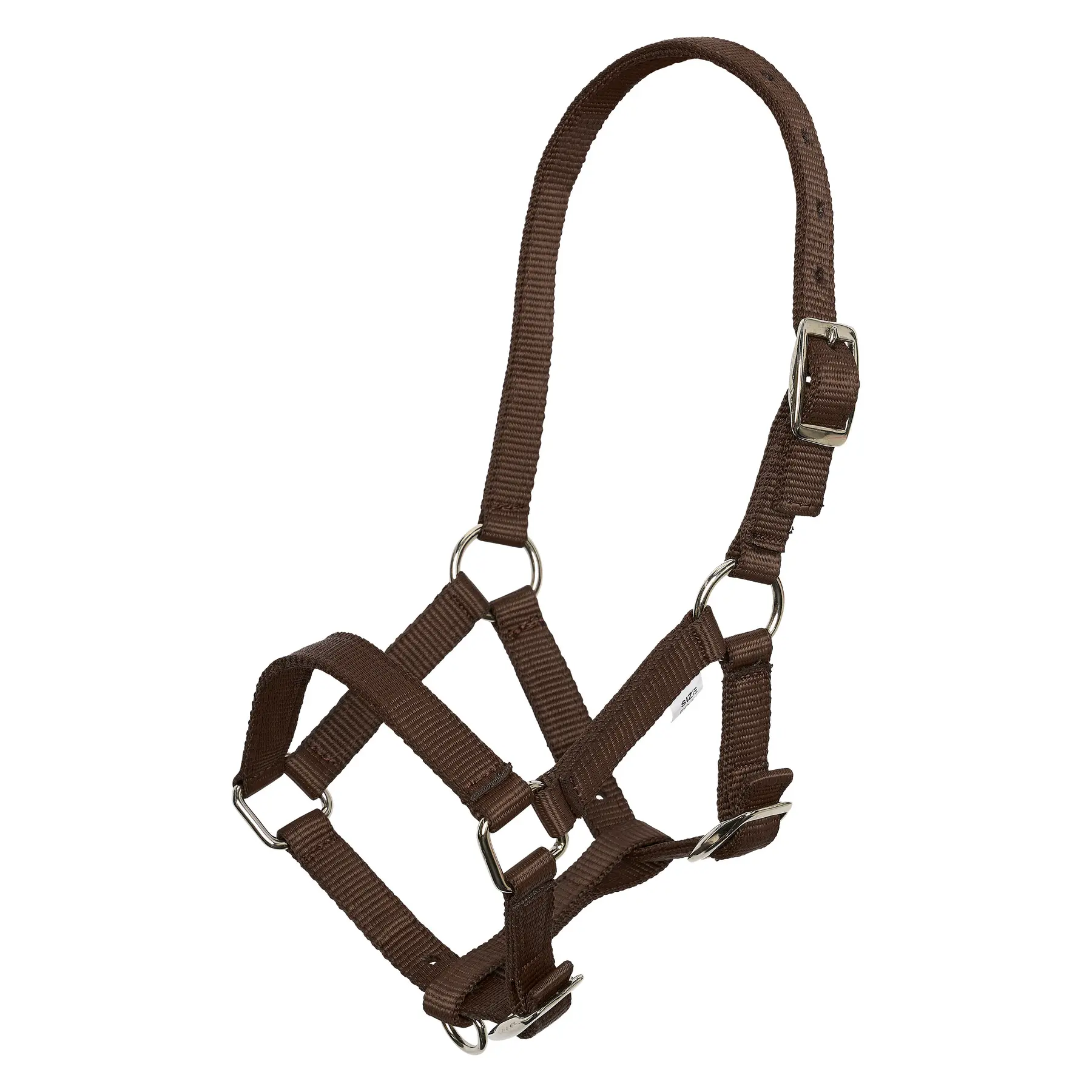 Imperial Riding Marron Halter For Foal