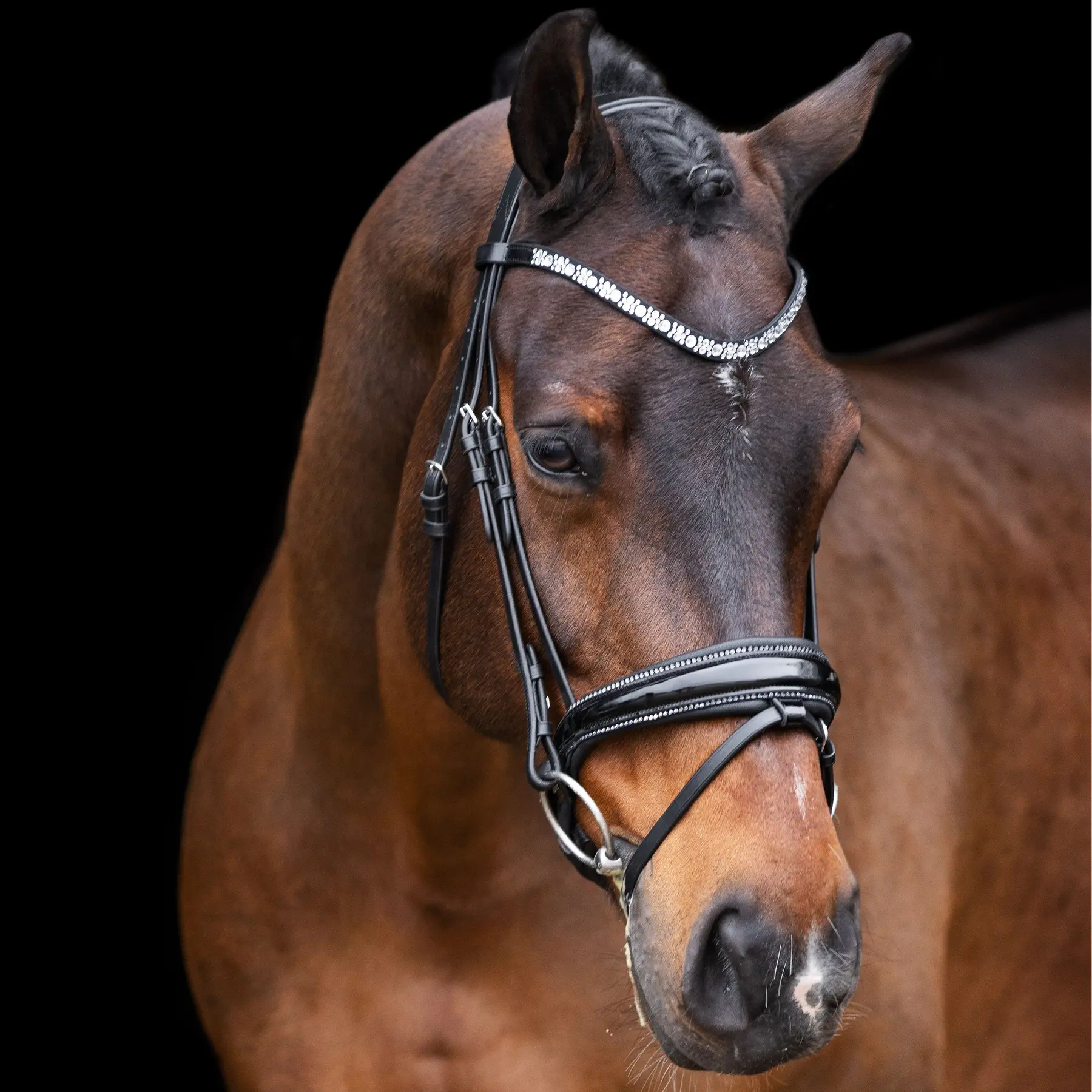 Imperial Riding Noir Bridles Olympia