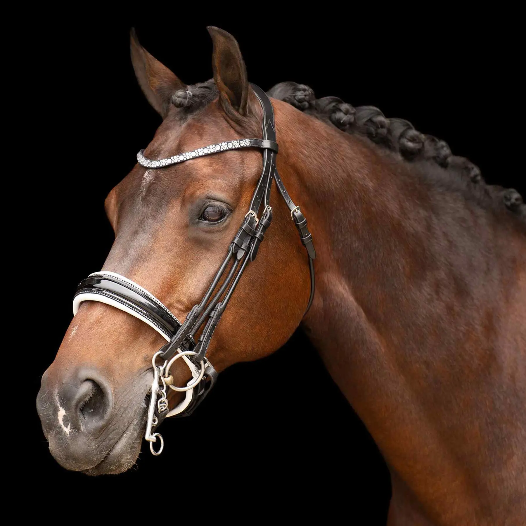 Imperial Riding Noir Bridles Olympia