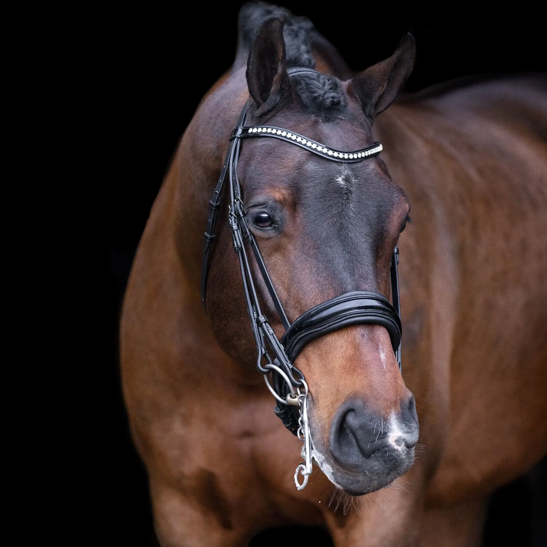Comparer les prix de Bridon équitation muserolle combinée Imperial Riding Athena