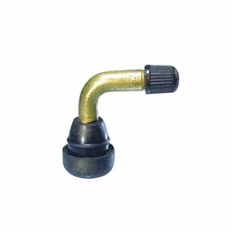 Abgewinkelte Ventile Chaft