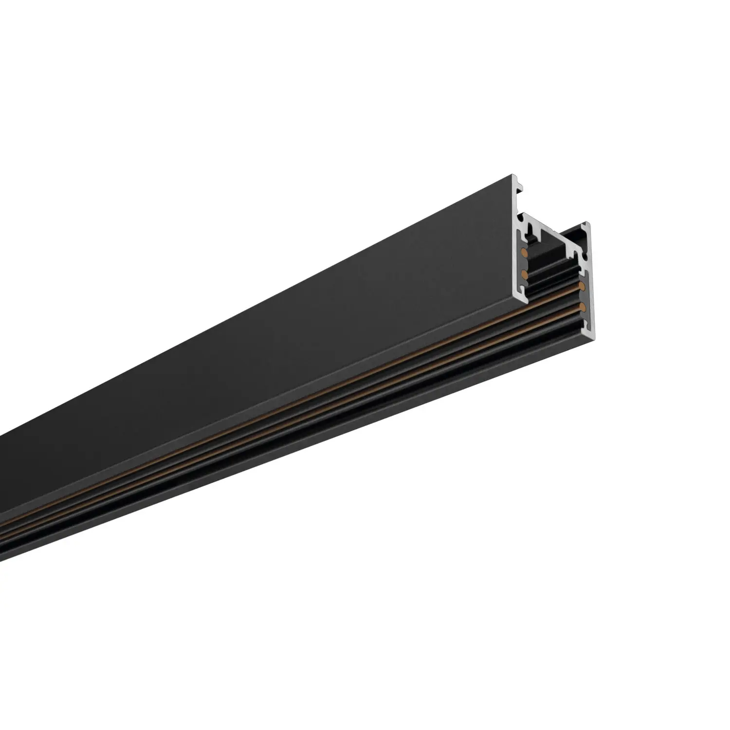 Schiene Indeluz lighting Carril Track