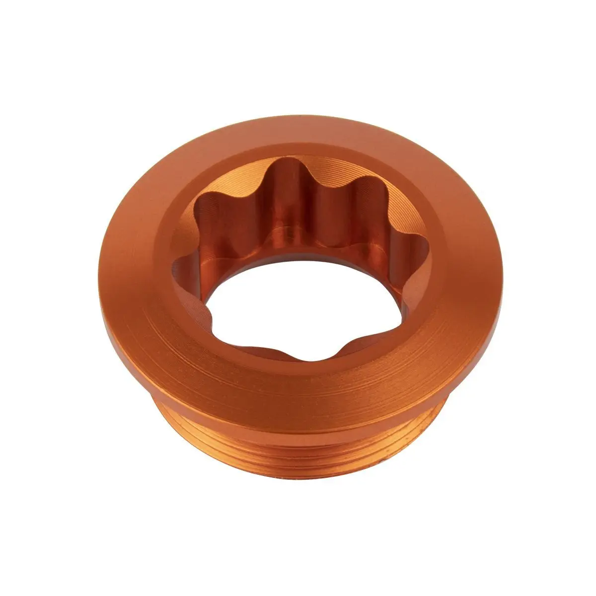 Velo Store - UK Bottom bracket axle screw Insight DXR | Extra 10% off with Subscription, Postage £16.79 to UK Fedex.