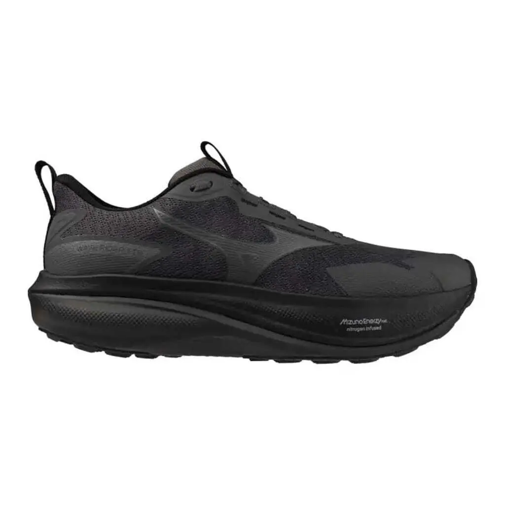 Mizuno Running shoes Mizuno Wave Rider TT 4