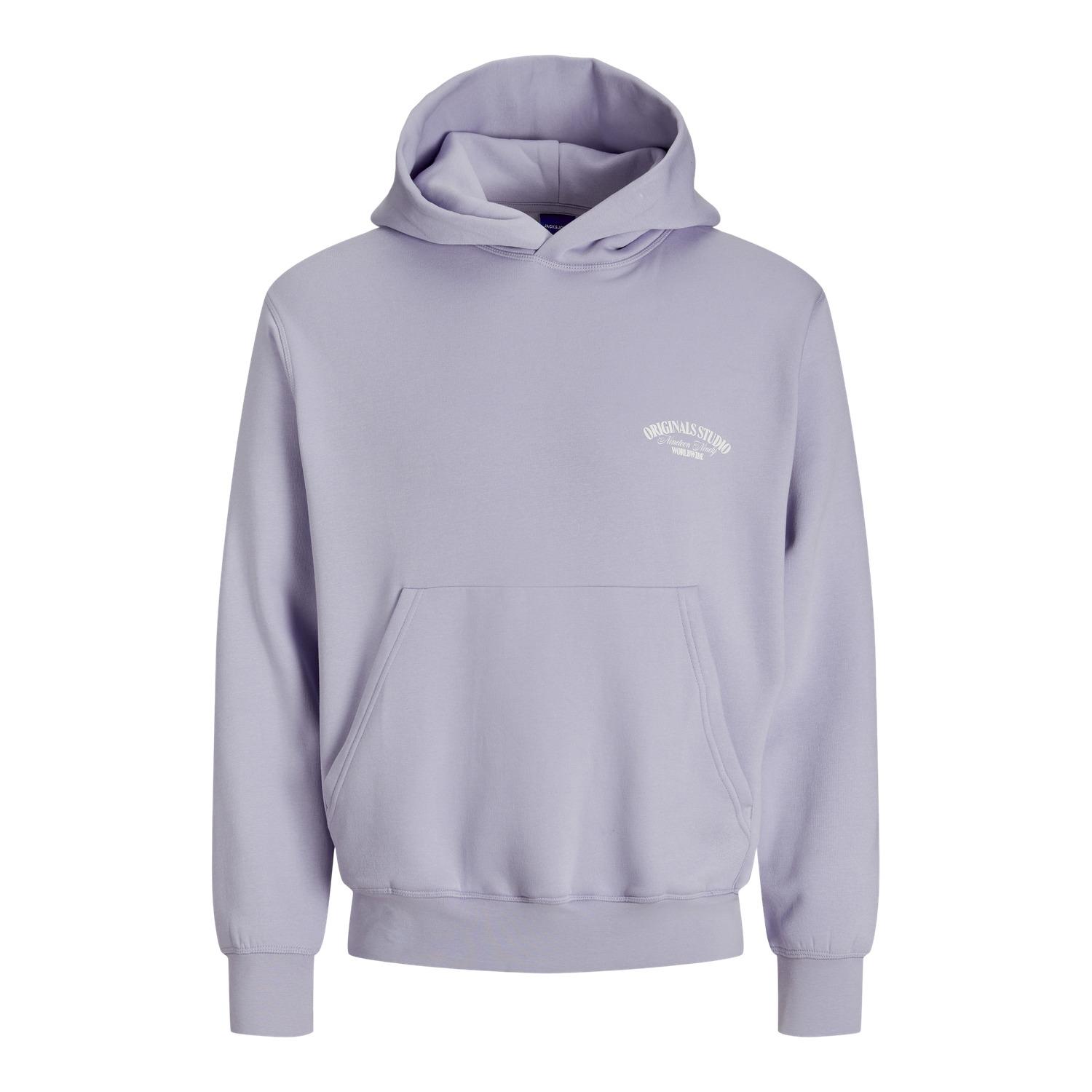 5715673085777 - Hoodie Jack & Jones Roxbury Back