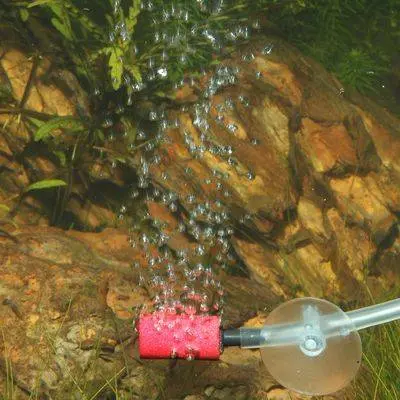 Jbl Aqua Multicolore Air Pump Diffuser For Aquarium Jbl Prosilent