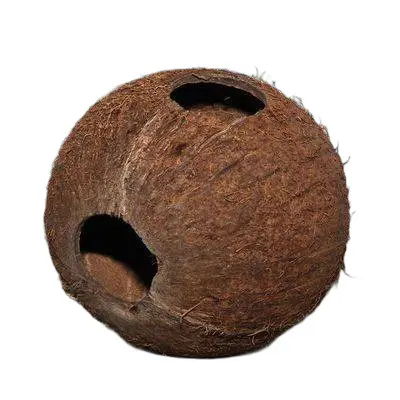Jbl Marron Coconut Shell Cava 1/1L