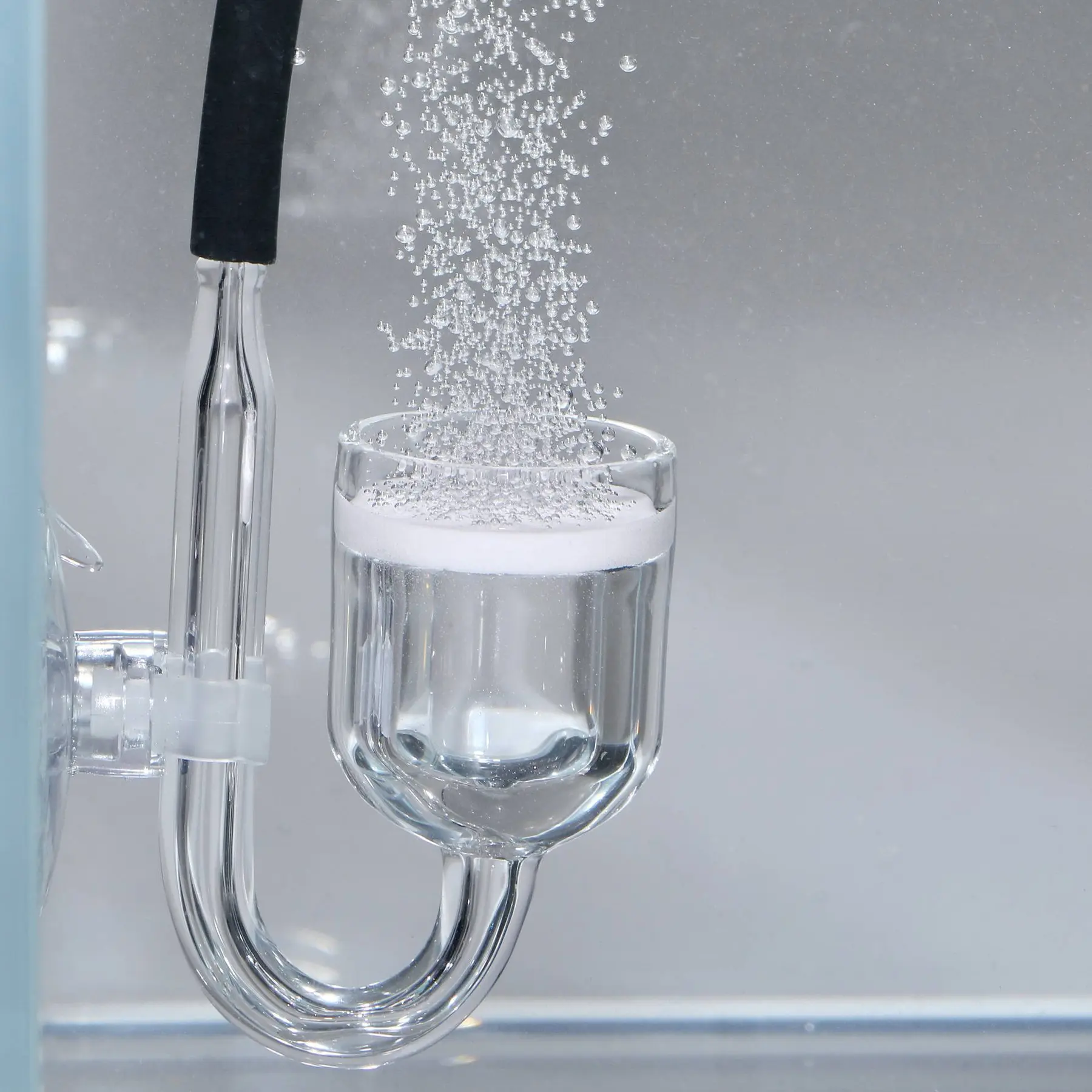 Meilleurs prix pour Nettoyant eau aquarium JBL Proflora Co2 Taifun Midi