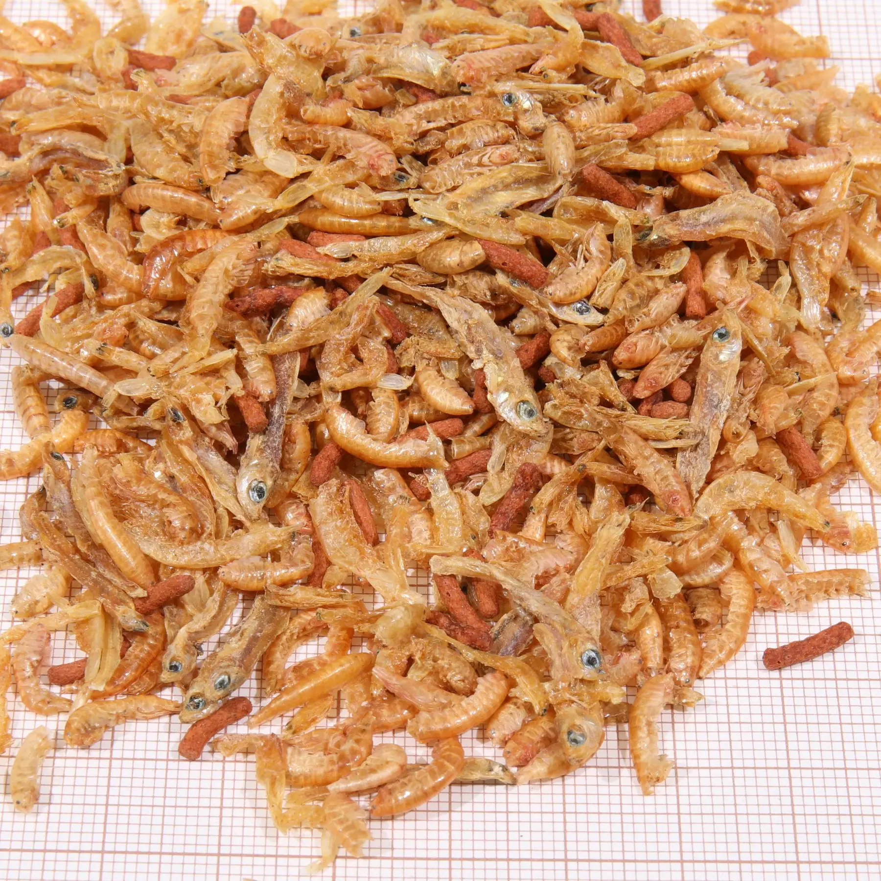 Comparer les prix de Aliment complémentaire JBL Proterra Baby