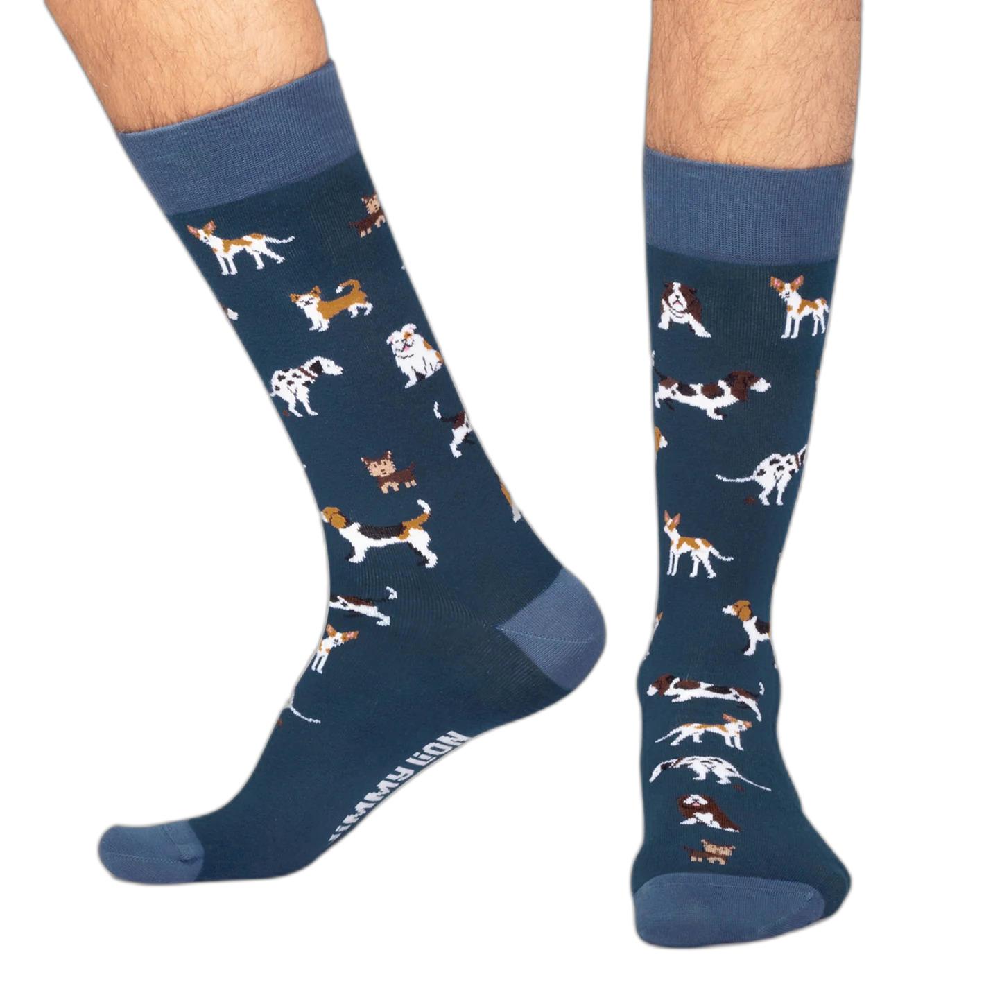 8436558646216 - Socken Dogs
