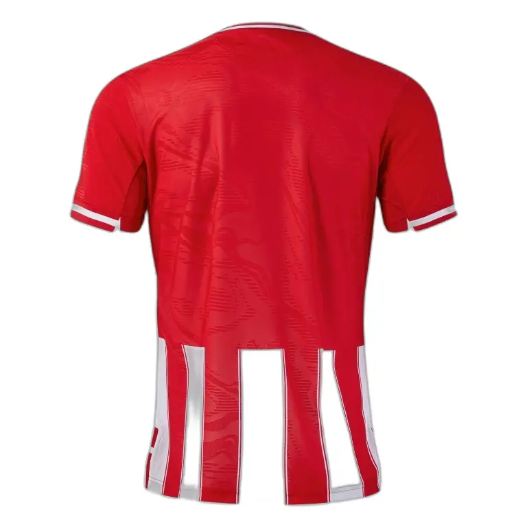 Trikot Joma Premier