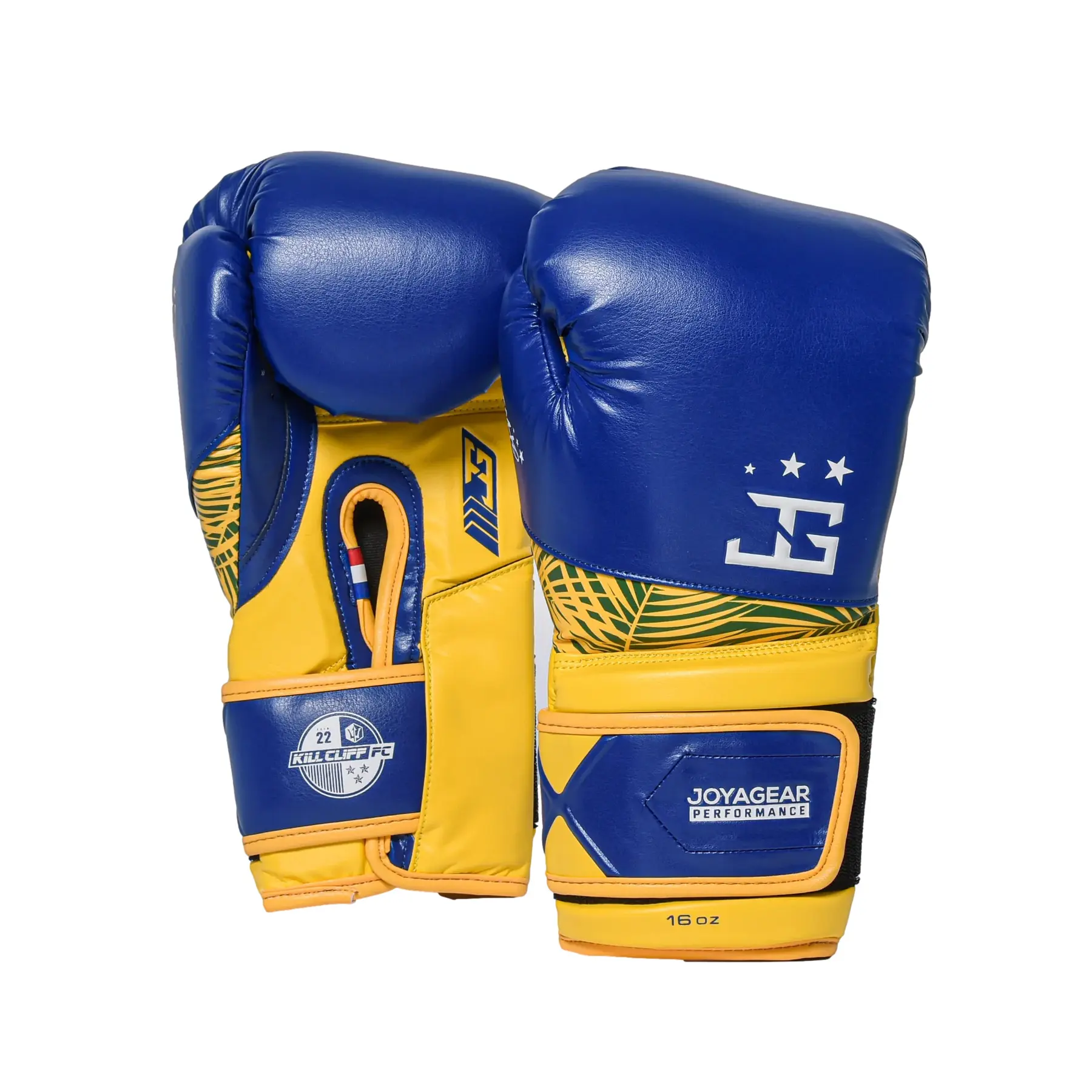 Boxhandschuhe Joyagear X Burns Performance Durinho