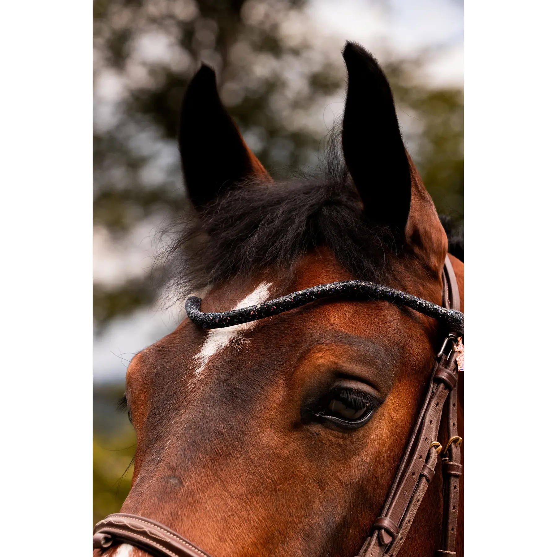 Meilleurs prix pour Frontal à pression pour cheval Ju & Pa