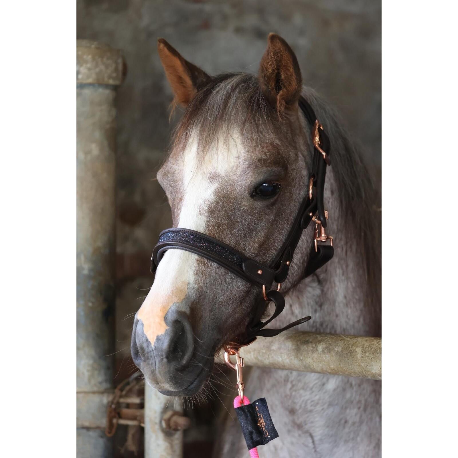 Comparer les prix de Licol pour cheval Ju & Pa