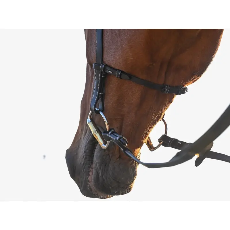 Bridons équitation pour cheval anatomique Jump'In Liberty