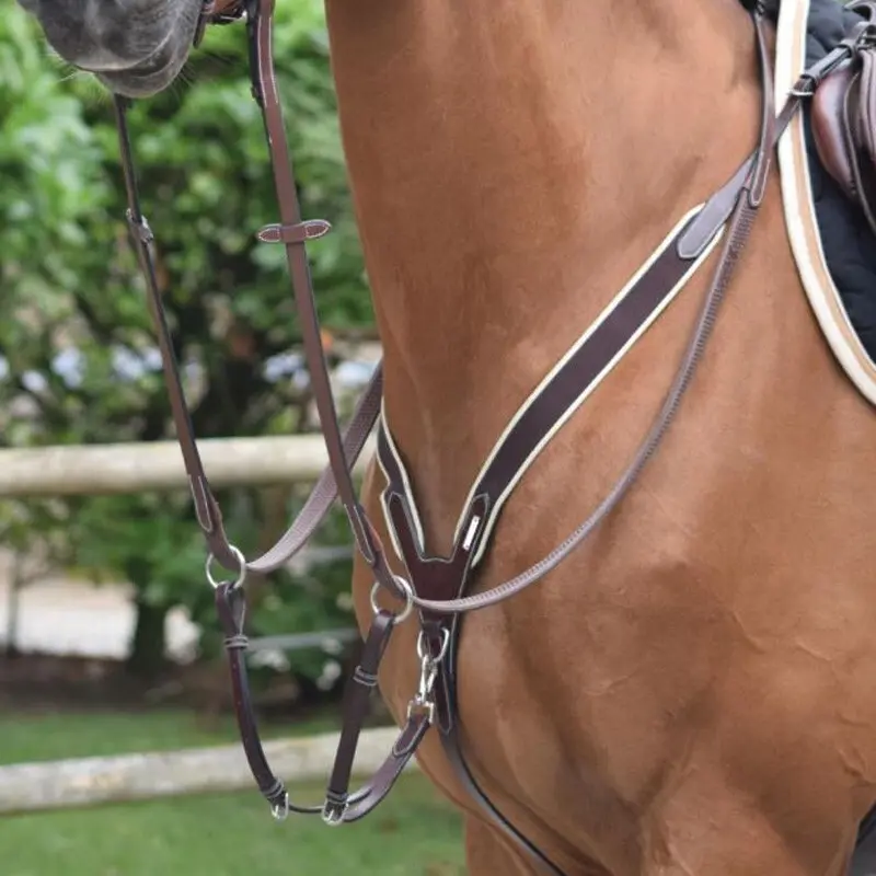 Collier de chasse pour cheval élastique et martingale Jump'In