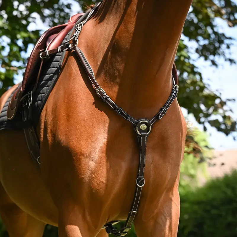 Collier de chasse pour cheval Jump'In Wednesday