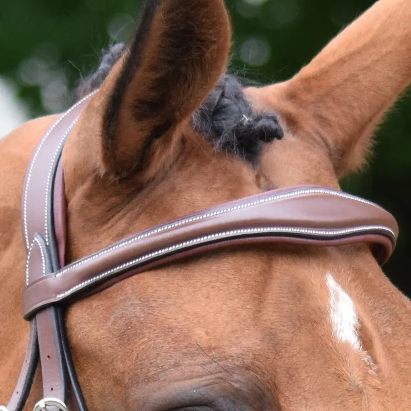 Frontal pour cheval Jump'In Bruxelles