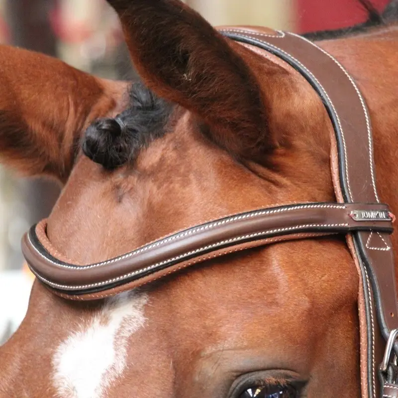 Frontal pour cheval Jump'In New York