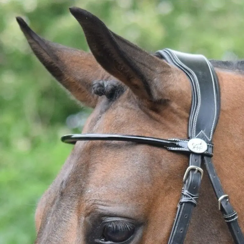 Frontal pour cheval verni rond Jump'In