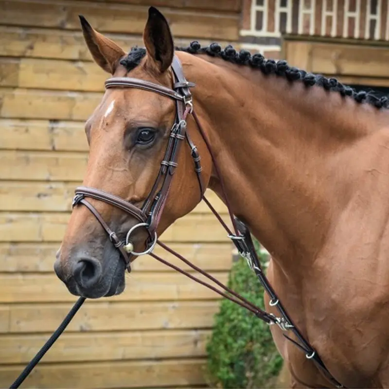 Gogue pour cheval Jump'In One