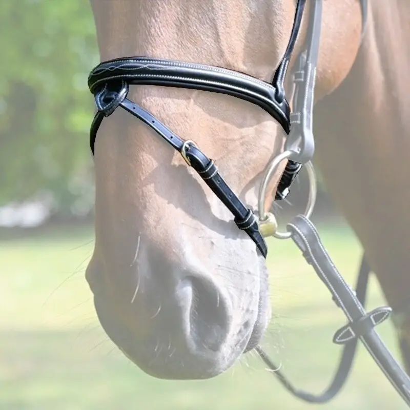 Muserolle croisée pour cheval Jump'In Monday
