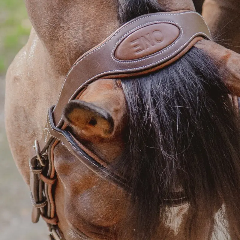 Têtière équitation Jump'In One New York