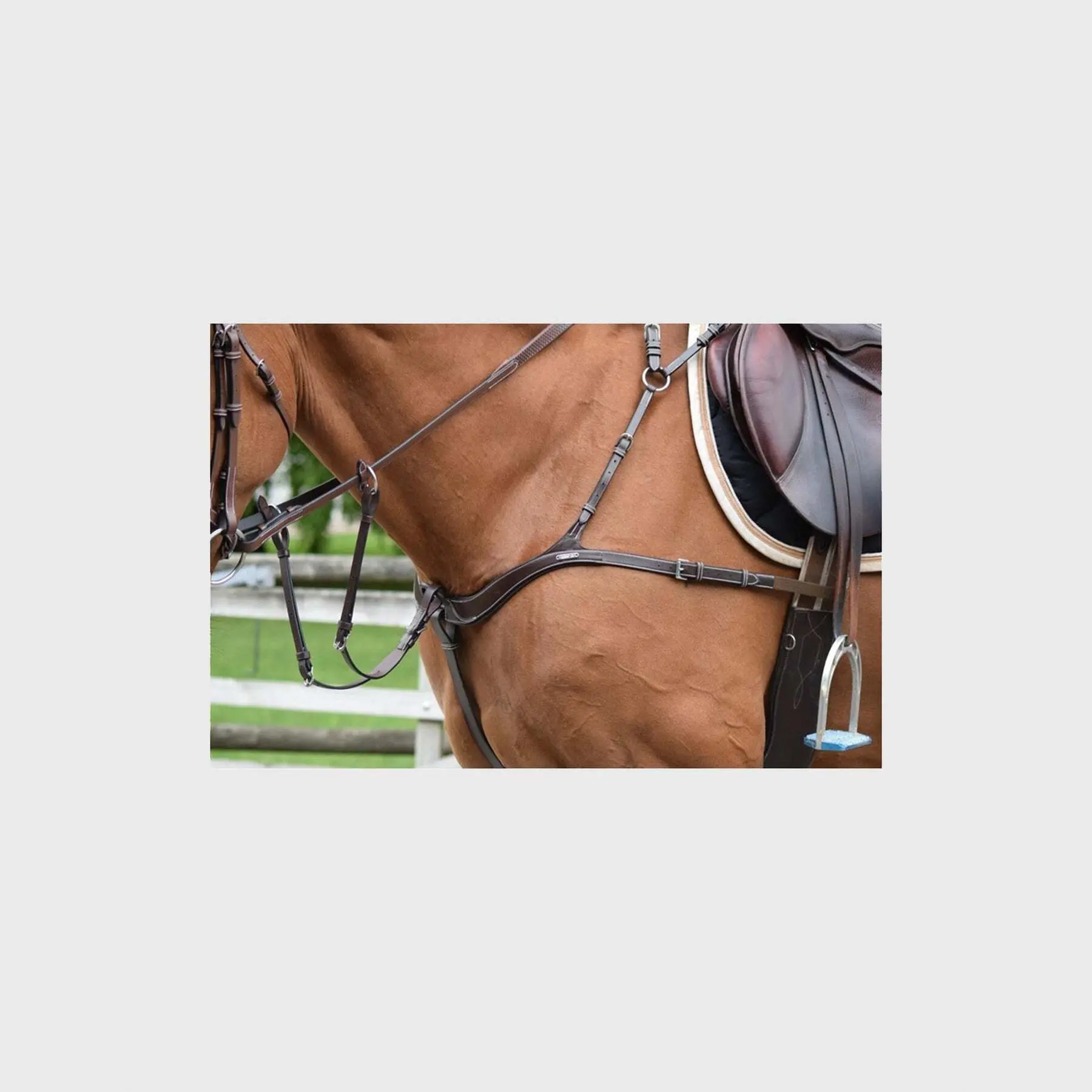 Collier de chasse cinq points et martingale pour cheval Jump'In