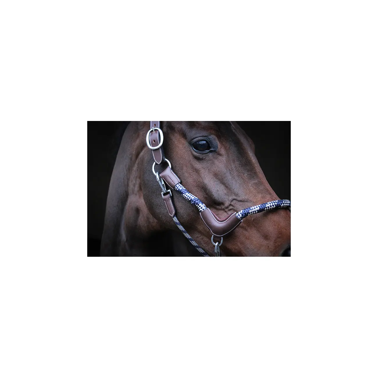 Licol travel pour cheval Jump'In Collection One