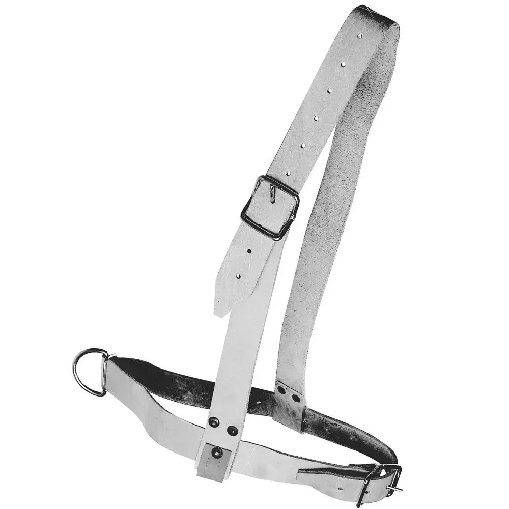 Comparer les prix de Licol en cuir Kamer