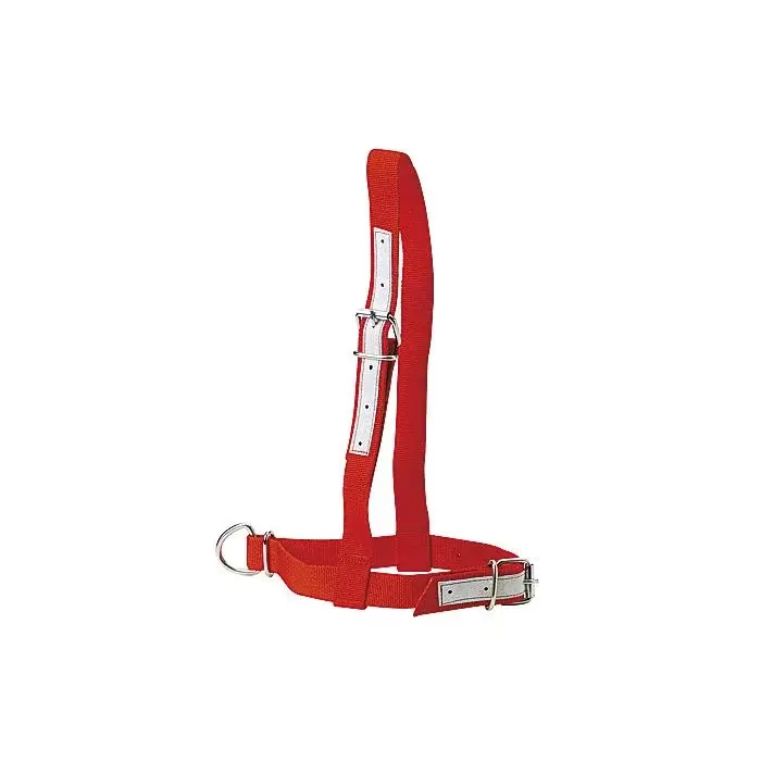 Meilleurs prix pour Licol en nylon pour vache Kamer