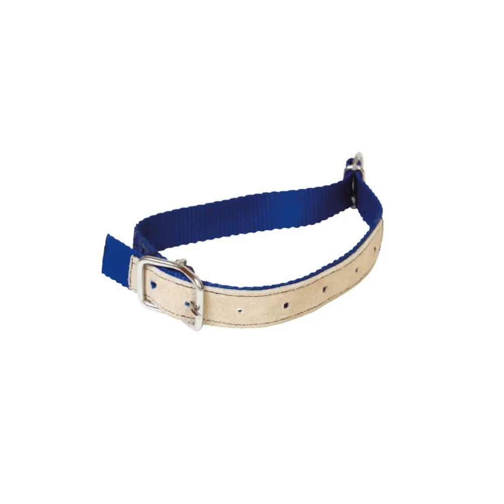 Kamer Bleu Nylon Collar For Sheep