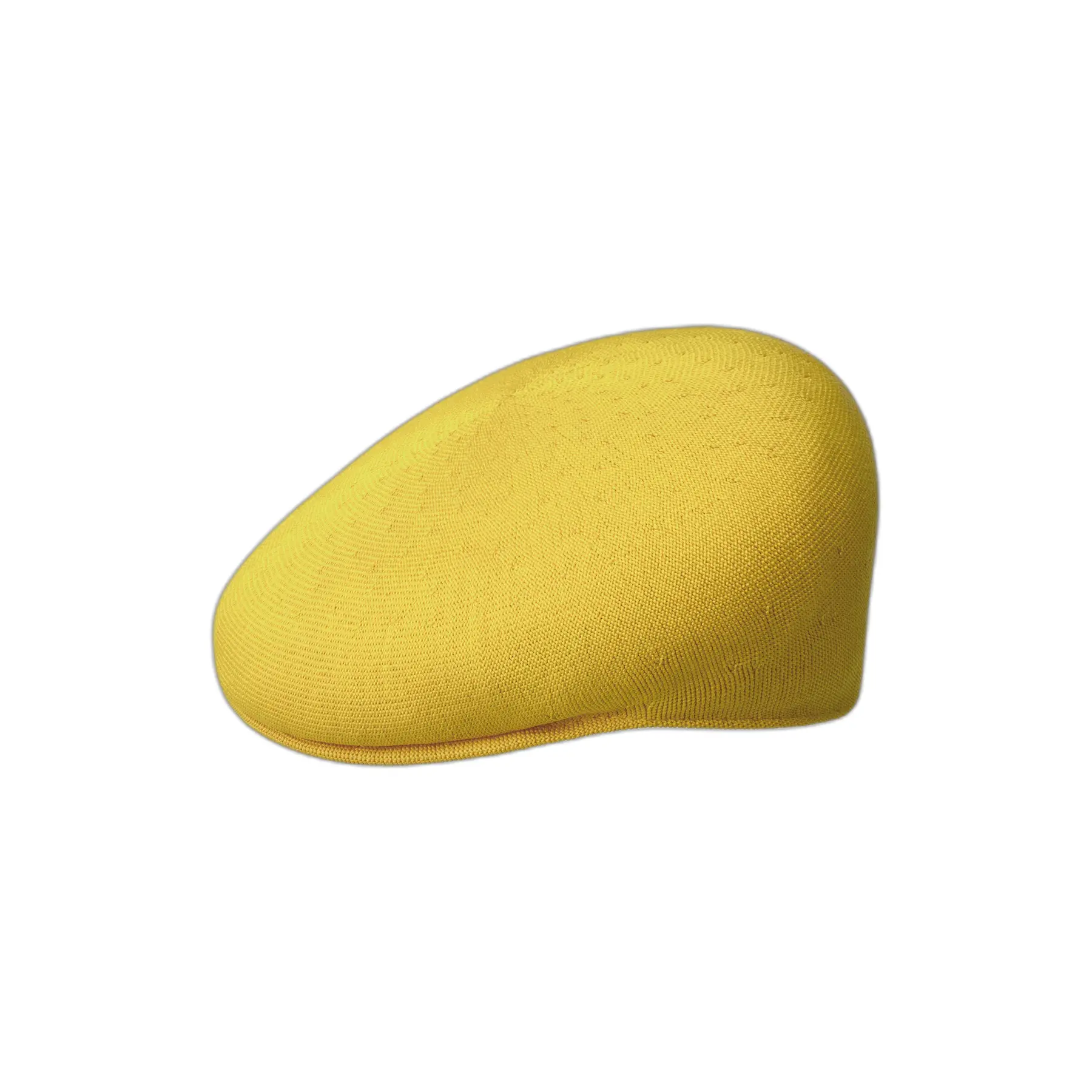 Kangol Unisex Jaune Beret Tropic 504