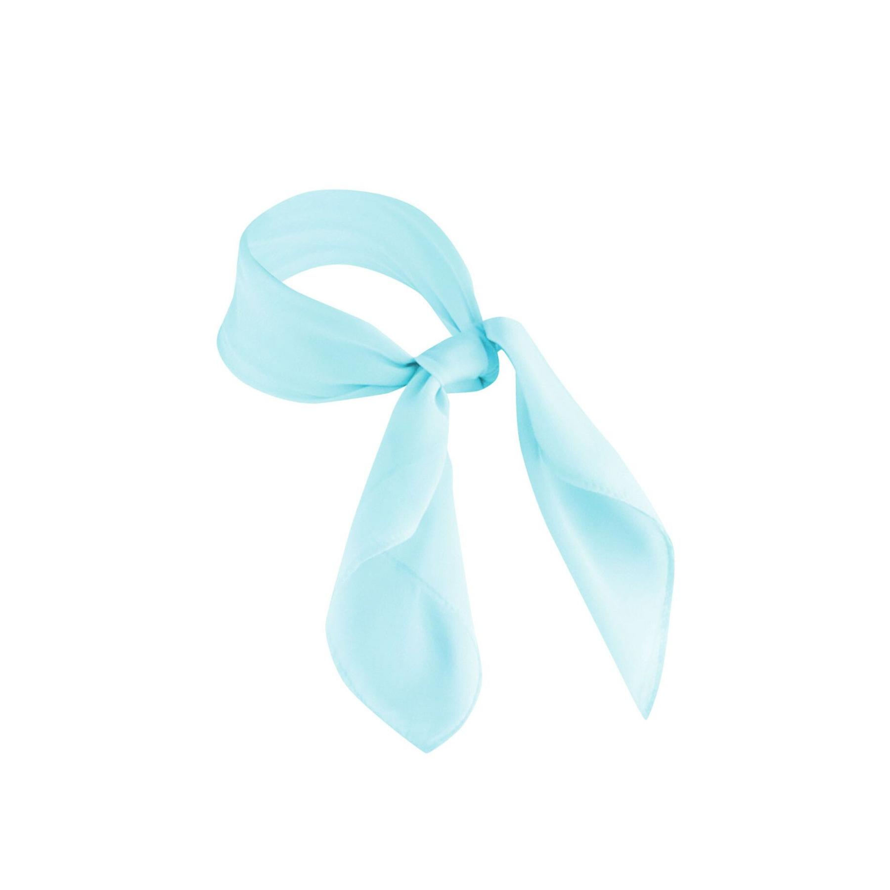 4040857096029 - Seidenschal für Damen Karlowsky