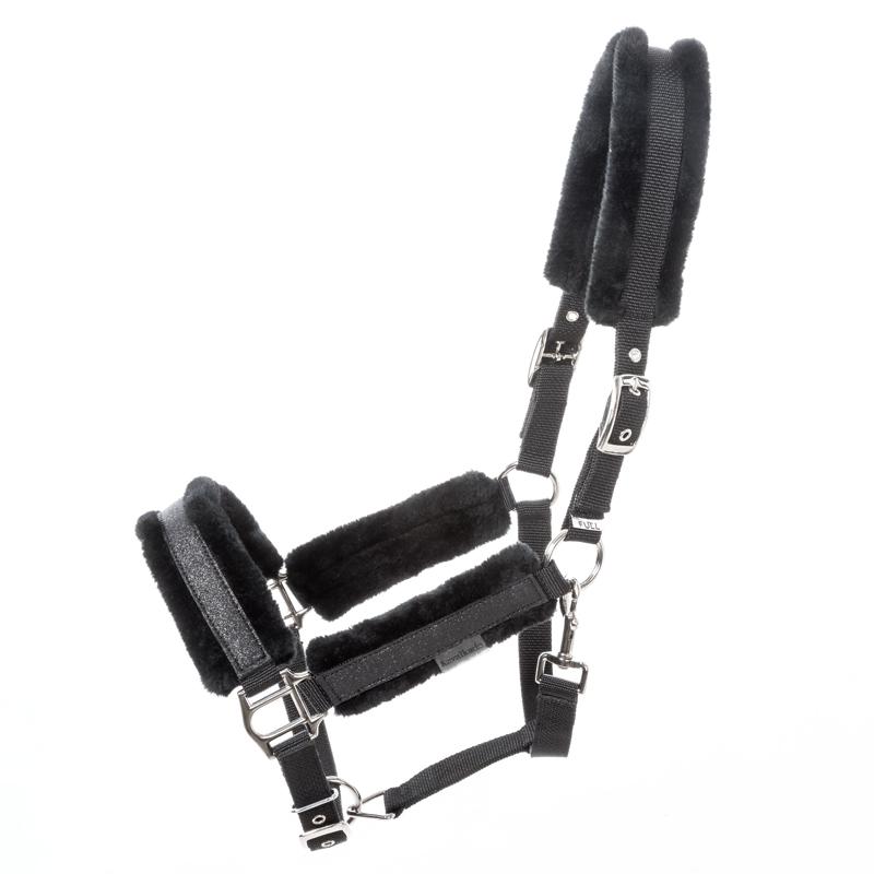 Cavezza Kavalkade Star