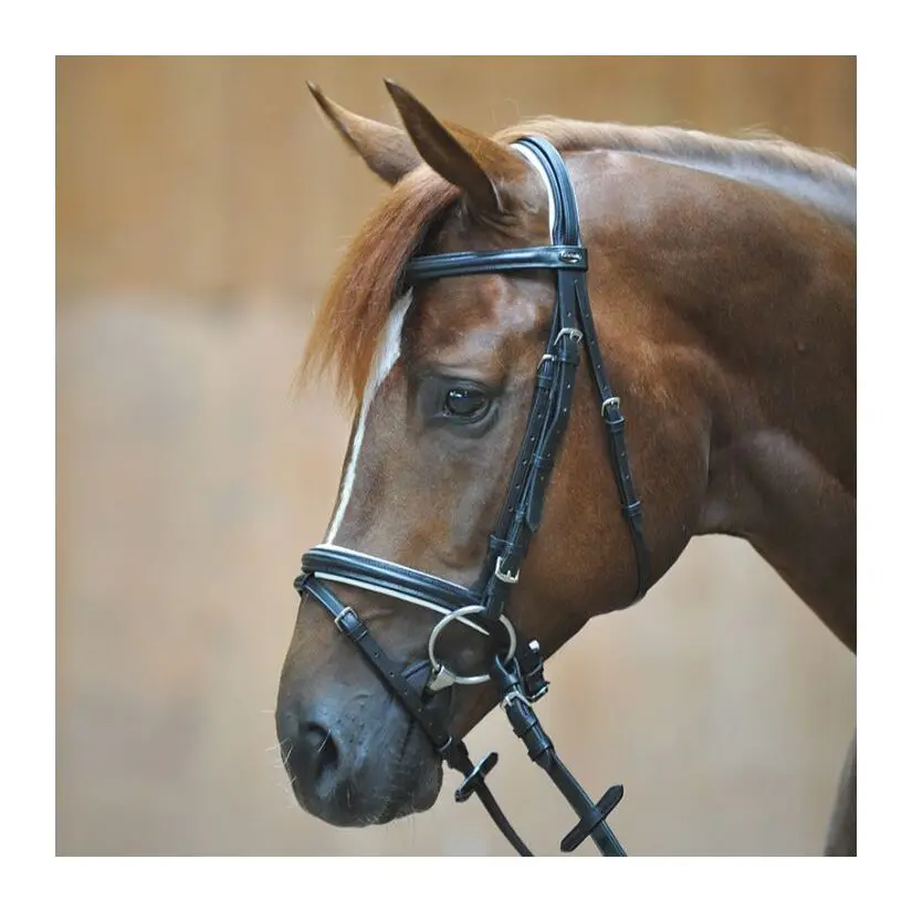 Kavalkade Noir Riding Bridles Quentin