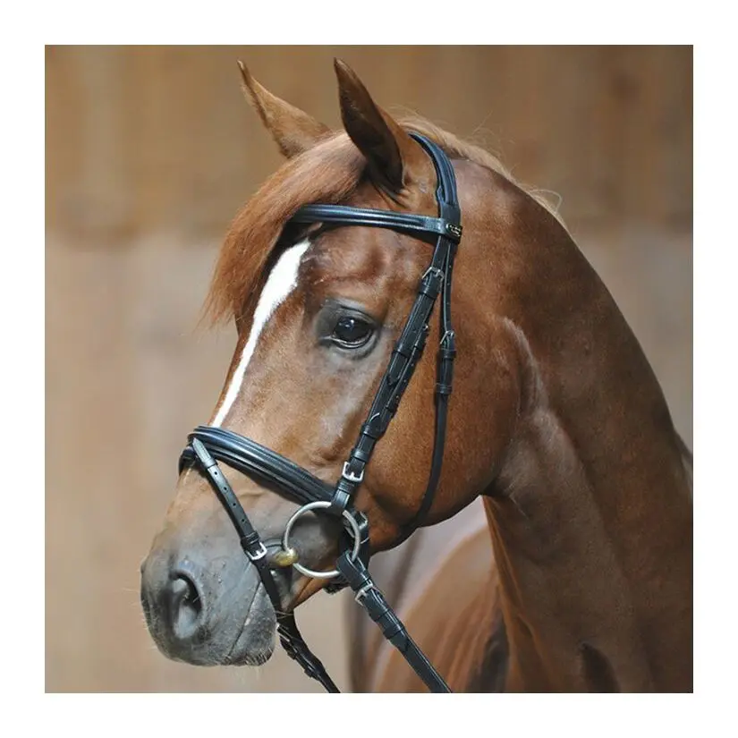 Meilleurs prix pour Bridons équitation Kavalkade Ravenna