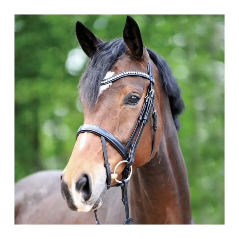 Meilleurs prix pour Bridons équitation Kavalkade Diana KavalSH4