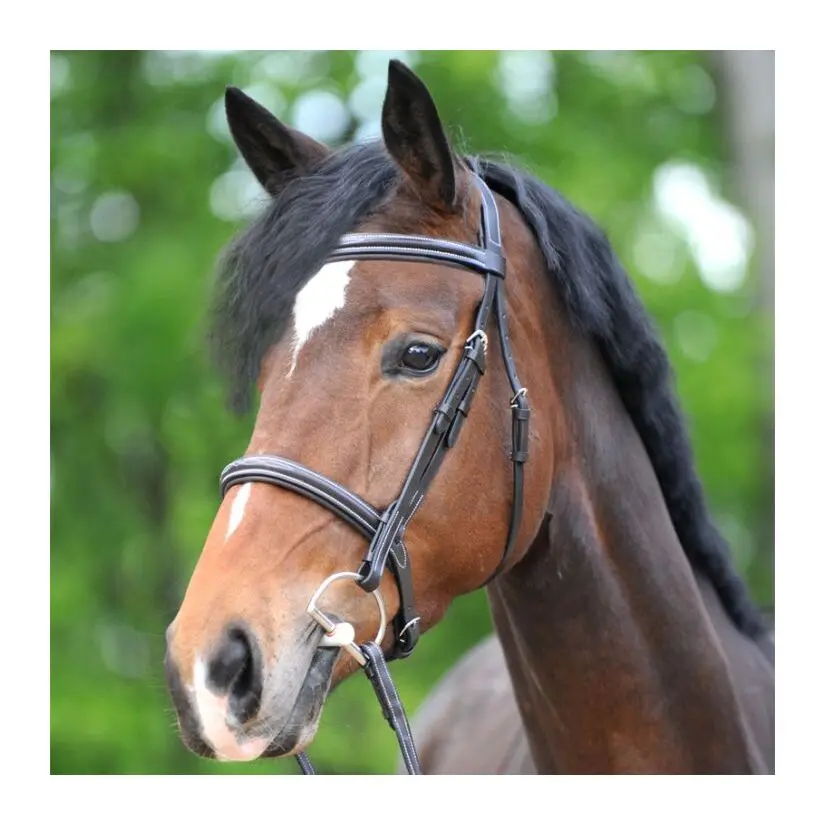 Comparer les prix de Bridons équitation Kavalkade Akila Hunter