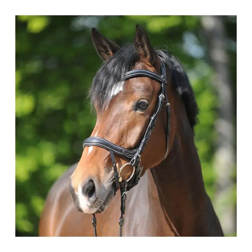 Comparer les prix de Bridons équitation Kavalkade Ivy Plus