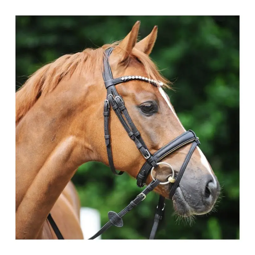 Meilleurs prix pour Rênes vegan en liège Kavalkade Cortica