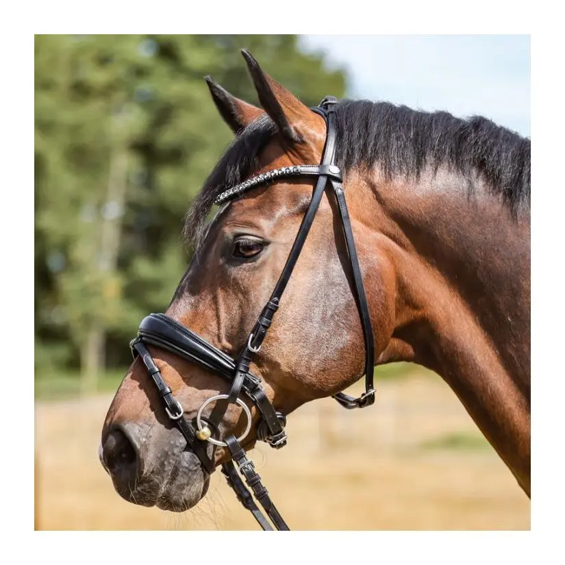 Meilleurs prix pour Bridon Kavalkade Ayana KavalSH4