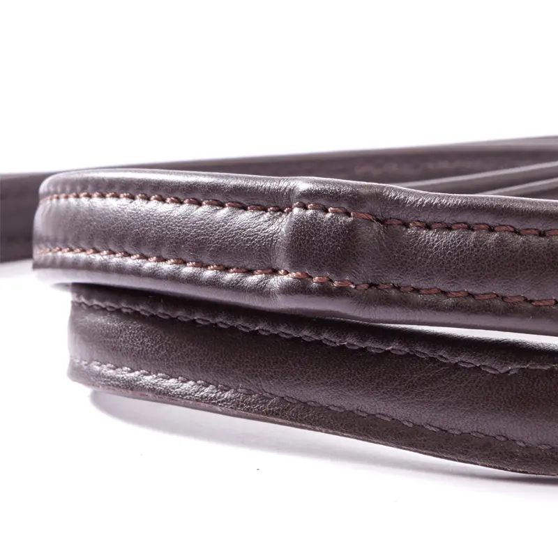 Rênes Anglaises En Cuir 54 X 5/8" – Marron Foncé, Sans Marque